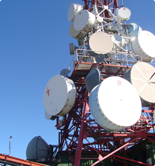 Dinnteco Historia 2008