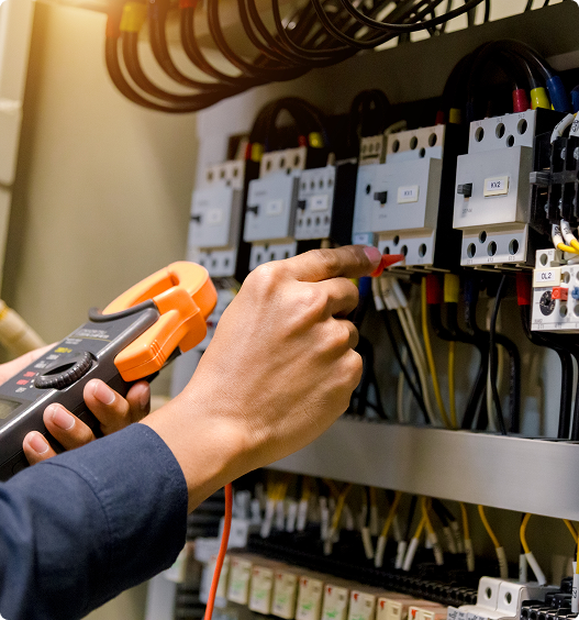 Dinnteco Historia 2011